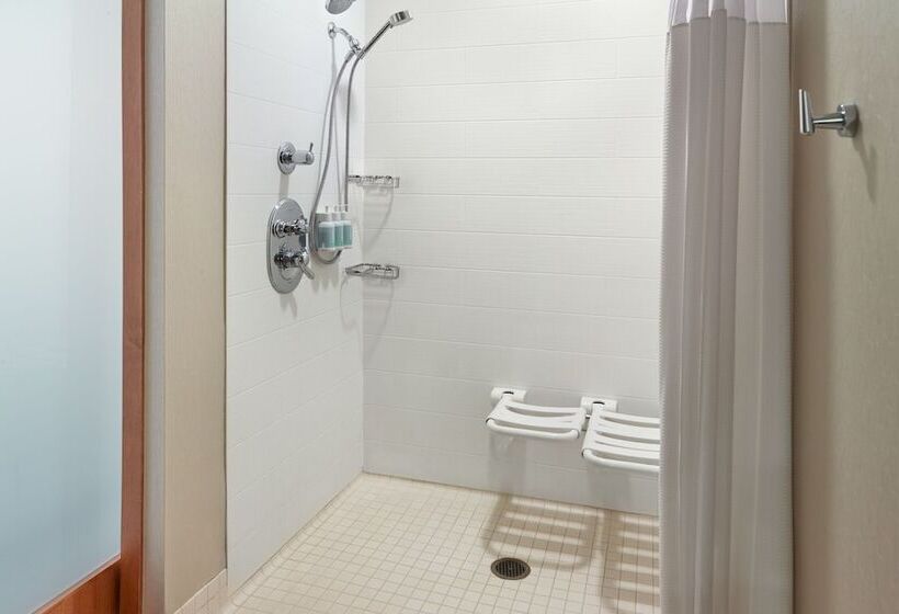 Люкс Адаптированный для Инвалидов, Springhill Suites By Marriott Atlanta Airport Gateway