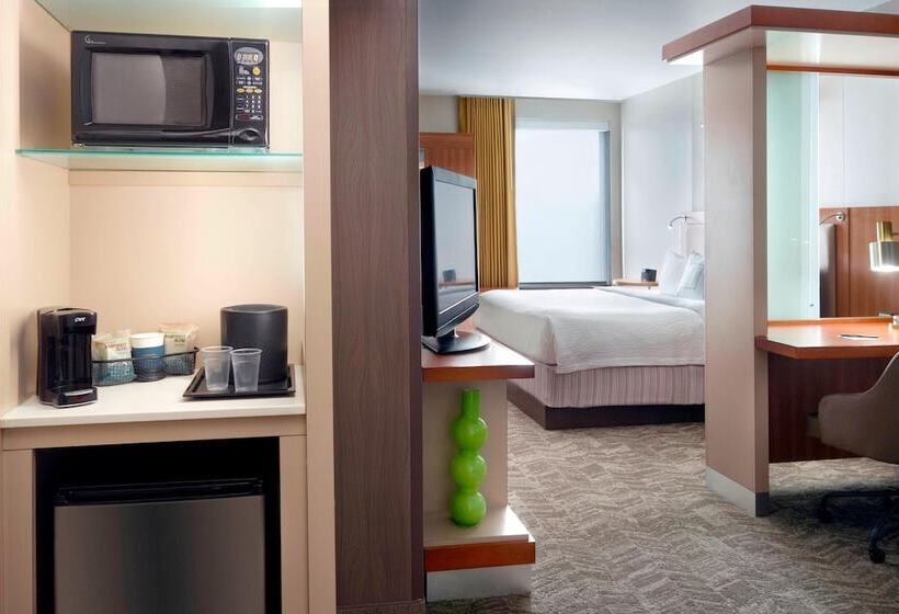 Люкс Адаптированный для Инвалидов, Springhill Suites By Marriott Atlanta Airport Gateway