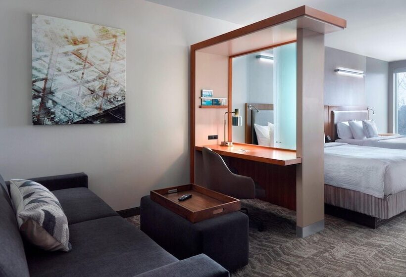 身障者適用スイートルーム, Springhill Suites By Marriott Atlanta Airport Gateway