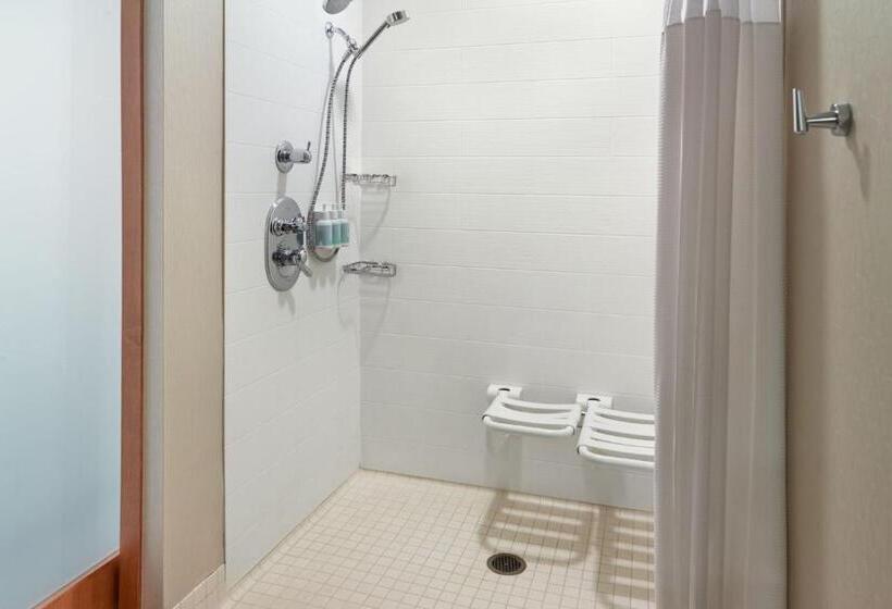 Люкс Кровать Кинг, Springhill Suites By Marriott Atlanta Airport Gateway