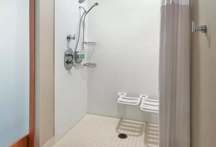 キングサイズベッドのスイートルーム, Springhill Suites By Marriott Atlanta Airport Gateway