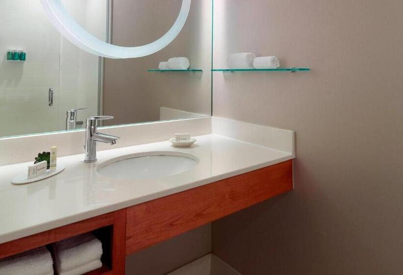 Люкс Кровать Кинг, Springhill Suites By Marriott Atlanta Airport Gateway