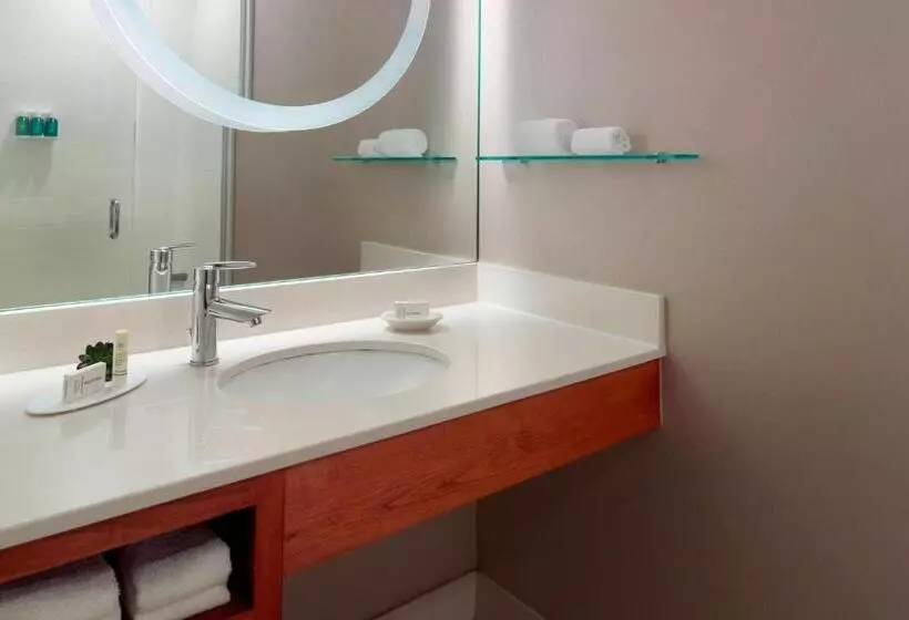 キングサイズベッドのスイートルーム, Springhill Suites By Marriott Atlanta Airport Gateway