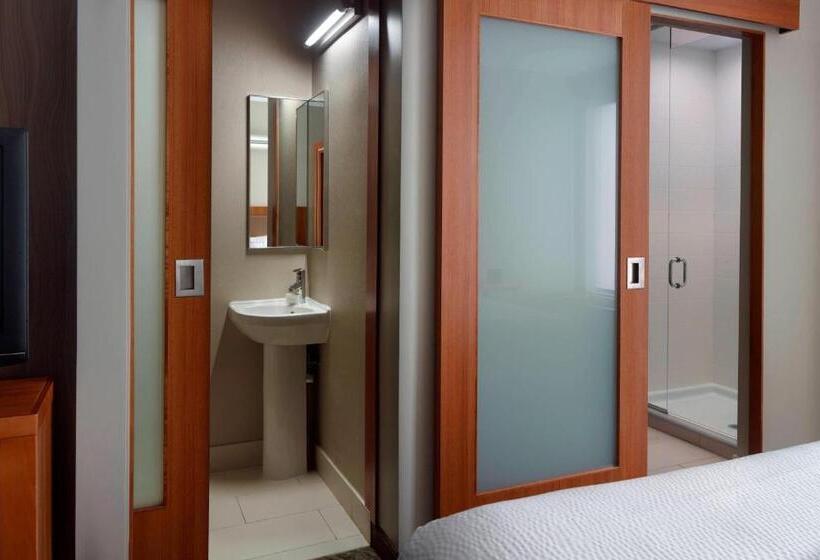 Люкс Адаптированный для Инвалидов, Springhill Suites By Marriott Atlanta Airport Gateway