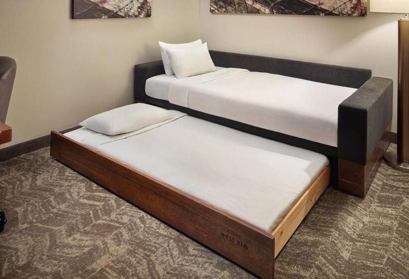 Люкс Адаптированный для Инвалидов, Springhill Suites By Marriott Atlanta Airport Gateway