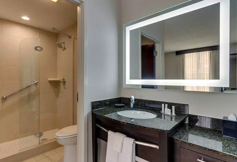 استودیوی استاندارد, Springhill Suites By Marriott Birmingham Downtown At Uab
