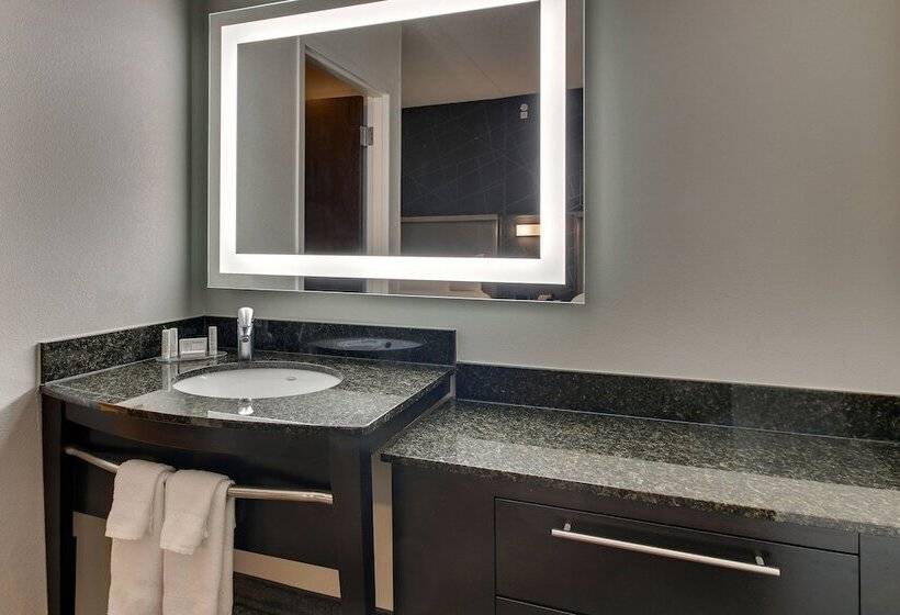 스탠다드 스튜디오, Springhill Suites By Marriott Birmingham Downtown At Uab