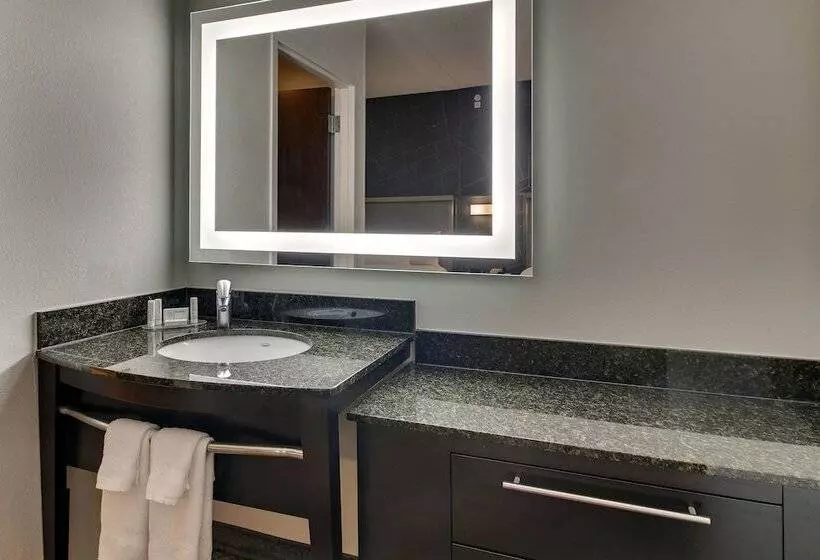 استودیوی استاندارد, Springhill Suites By Marriott Birmingham Downtown At Uab