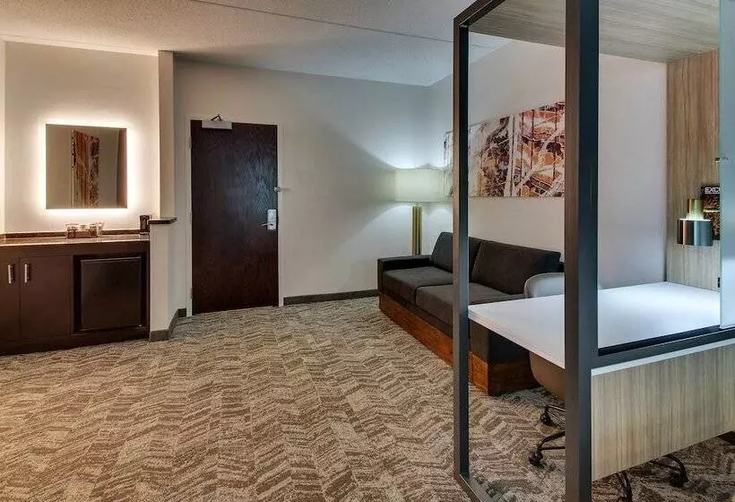 استودیوی استاندارد, Springhill Suites By Marriott Birmingham Downtown At Uab