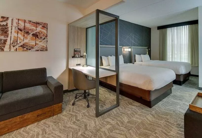استودیوی استاندارد, Springhill Suites By Marriott Birmingham Downtown At Uab