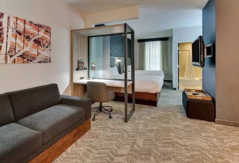 استودیوی استاندارد, Springhill Suites By Marriott Birmingham Downtown At Uab