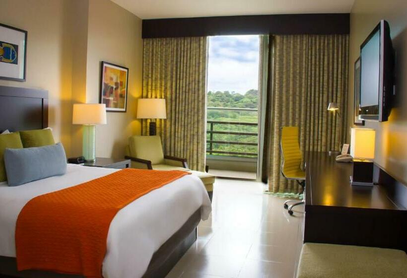 带观景的豪华间, Summit Rainforest Golf Resort & All Inclusive