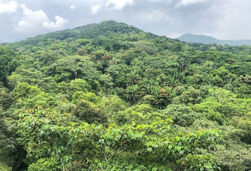 总统套房, Summit Rainforest Golf Resort & All Inclusive