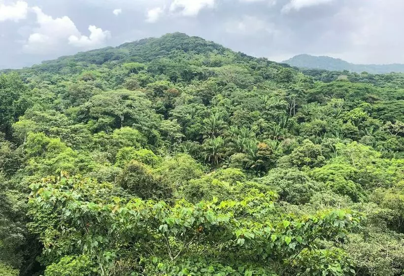 سوئیت پرزیدنت, Summit Rainforest Golf Resort & All Inclusive