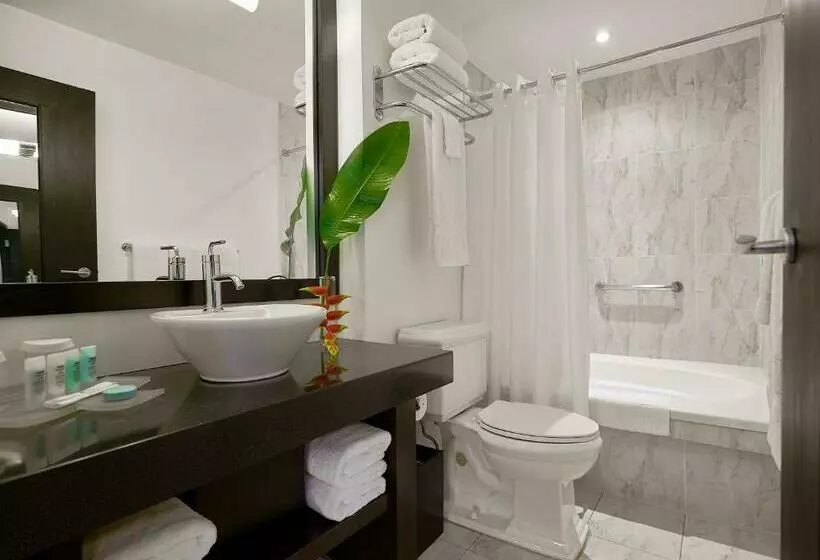 اتاق لوکس با تخت بزرگ, S Hotel Kingston