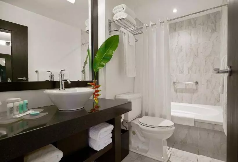 سوئیت جونیور با تخت بزرگ, S Hotel Kingston