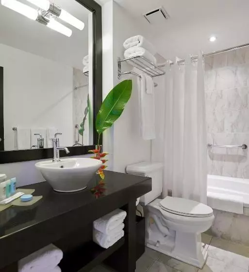اتاق استاندارد با تخت بزرگ, S Hotel Kingston
