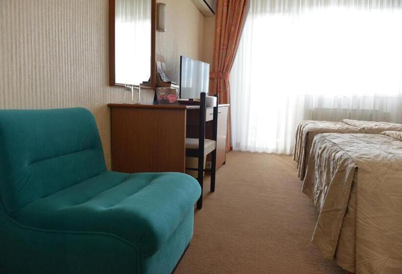 اتاق استاندارد با بالکن, Bellevue