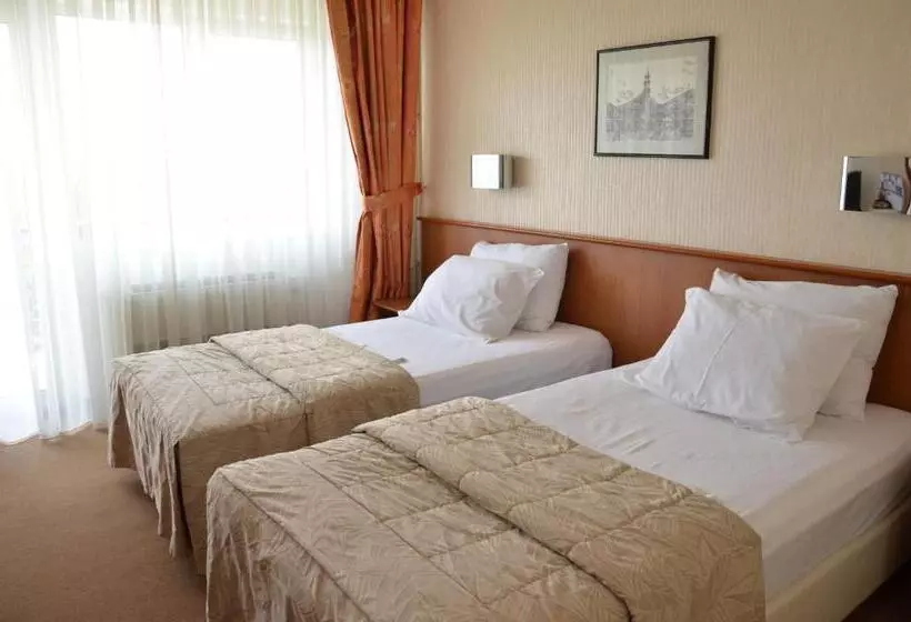 اتاق استاندارد با بالکن, Bellevue