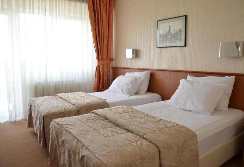 اتاق استاندارد با بالکن, Bellevue