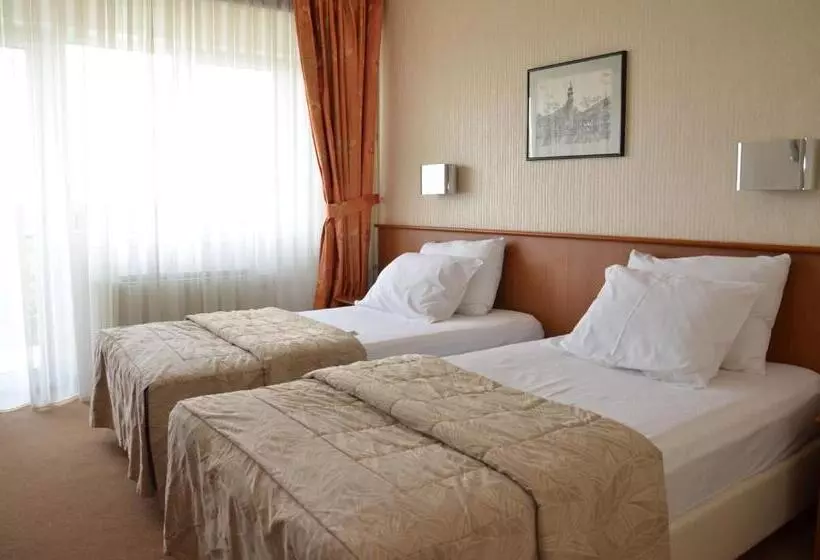 اتاق استاندارد با بالکن, Bellevue