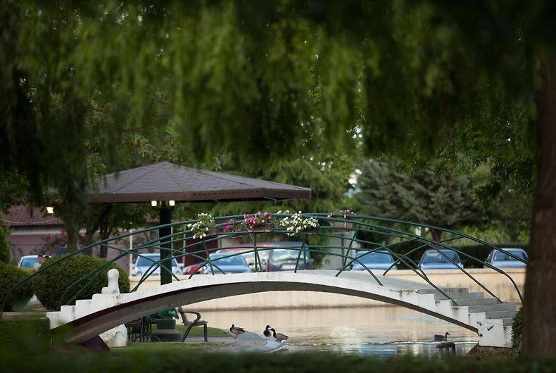 اتاق استاندارد, Bellevue