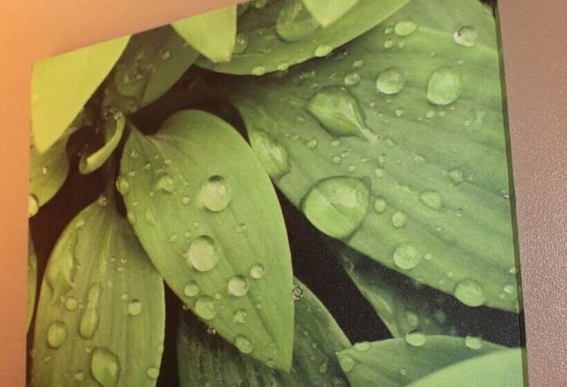 浴室共有ファミリールーム, Bohemia Resort Cairns