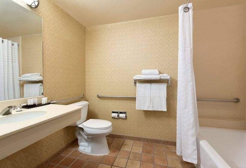 适合残疾人士使用的套间, Embassy Suites Lincoln