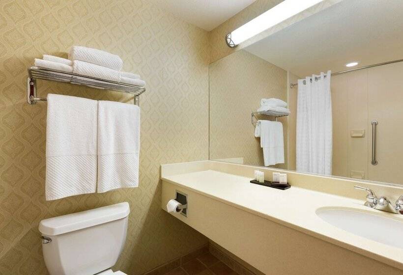 프리미엄 스위트, Embassy Suites Lincoln