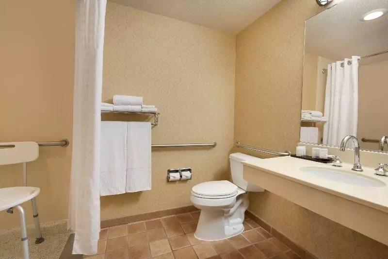 キングサイズベッドのスイートルーム, Embassy Suites Lincoln