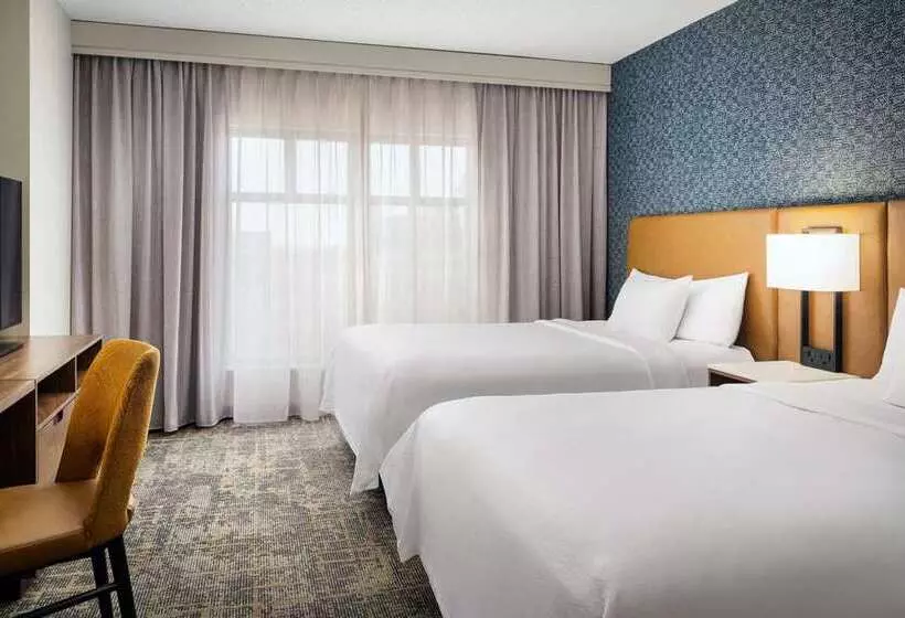 キングサイズベッドのスイートルーム, Embassy Suites Lincoln