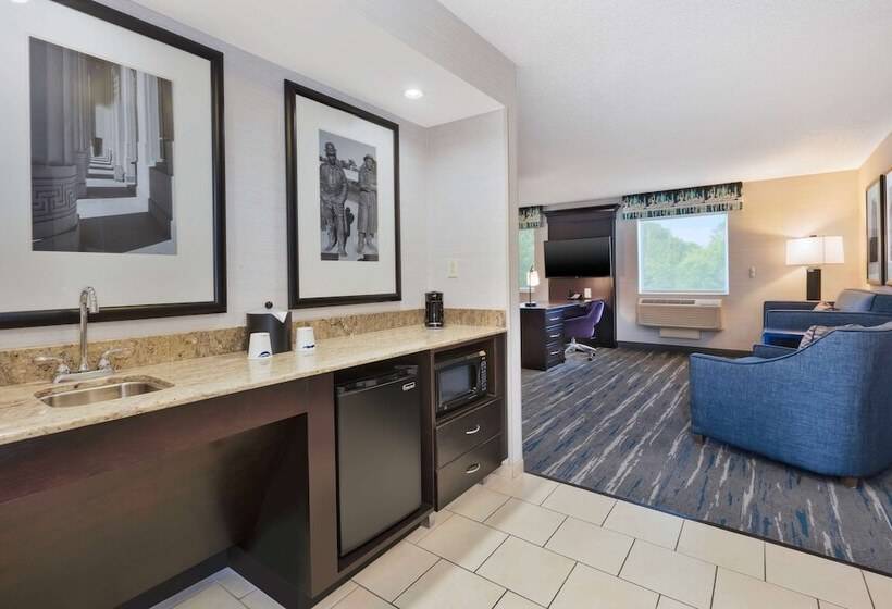 Студия Стандарт, Hampton Inn & Suites Flint/grand Blanc