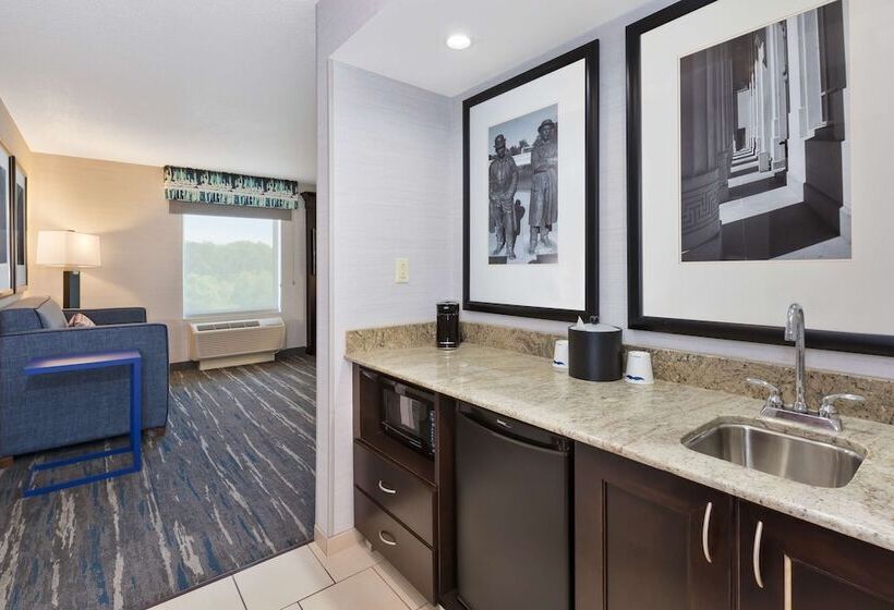 Студия Стандарт, Hampton Inn & Suites Flint/grand Blanc