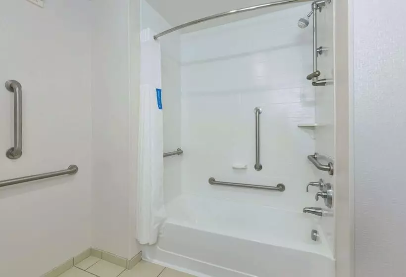 اتاق استاندارد, Hampton Inn & Suites Flint/grand Blanc