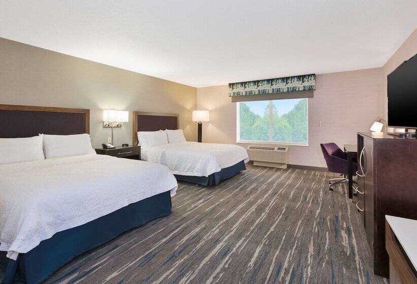 Номер Стандарт, Hampton Inn & Suites Flint/grand Blanc
