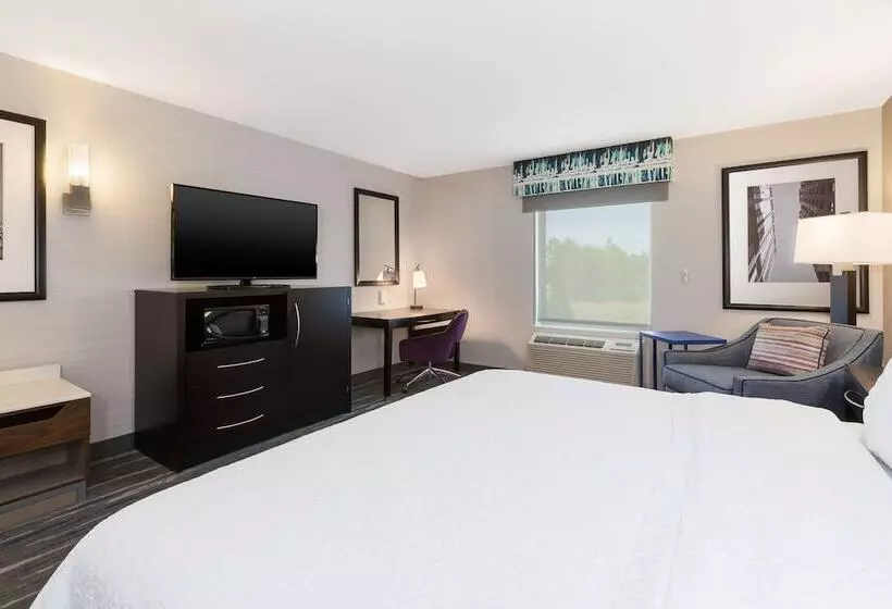 اتاق استاندارد, Hampton Inn & Suites Flint/grand Blanc