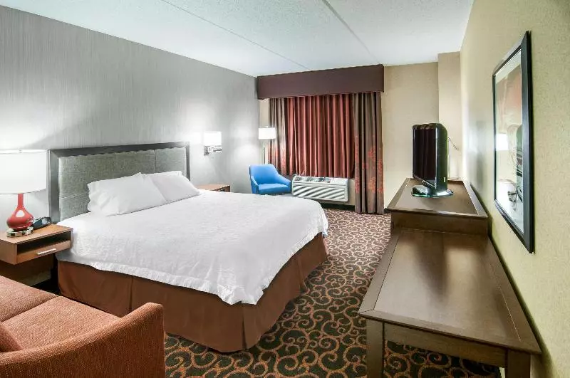 キングサイズベッドのスタンダードルーム, Hampton Inn Deadwood At Tin Lizzie Gaming Resort
