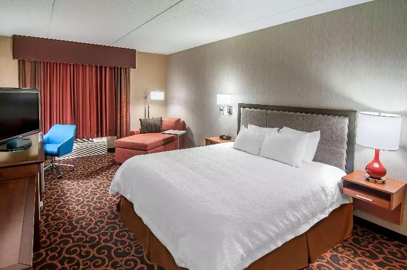 キングサイズベッドのスタンダードルーム, Hampton Inn Deadwood At Tin Lizzie Gaming Resort