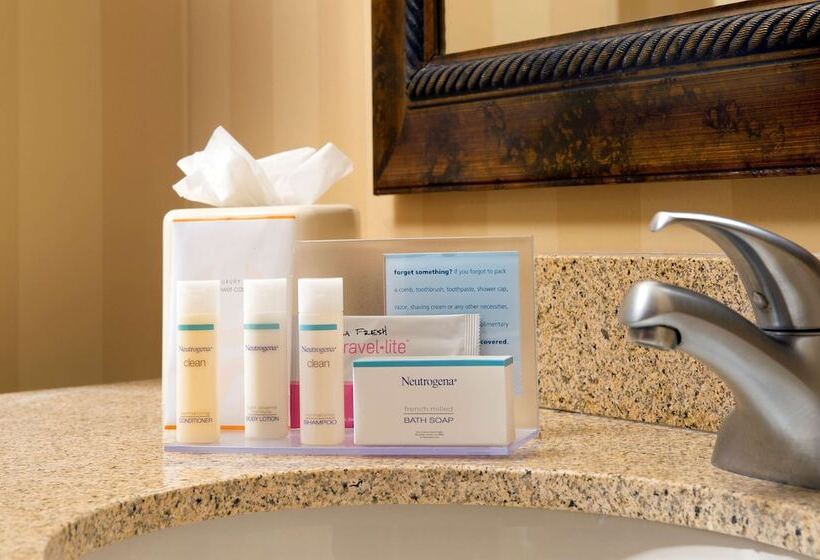 חדר סטנדרט, Hampton Inn & Suites San Antonioairport