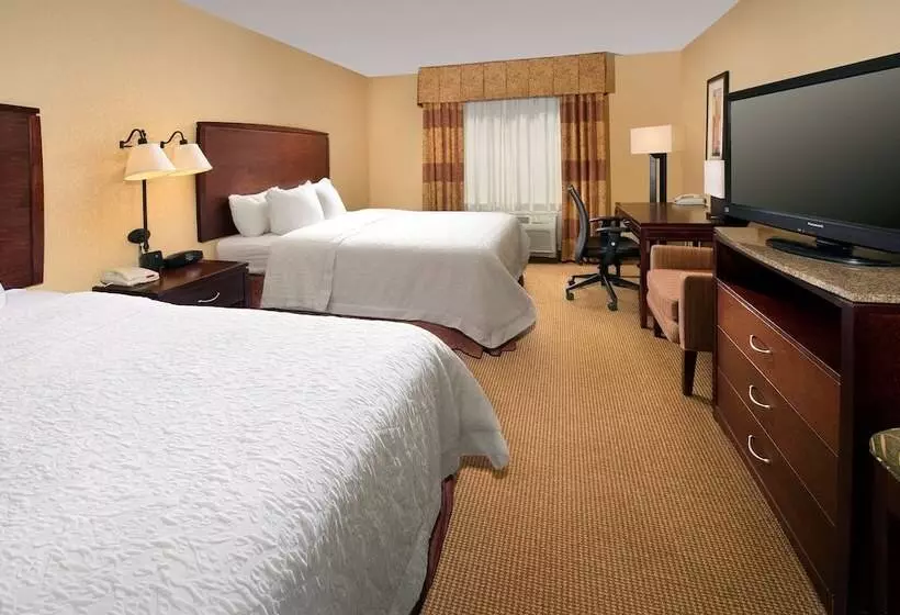 スタンダードルーム, Hampton Inn & Suites San Antonioairport