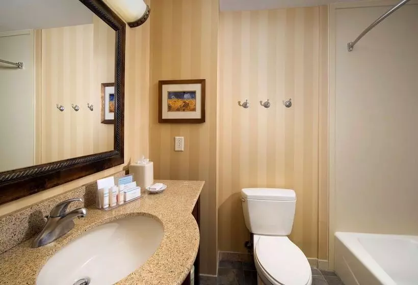 スタンダードスタジオ, Hampton Inn & Suites San Antonioairport