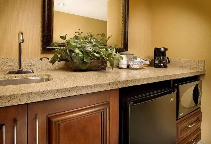 スタンダードスタジオ, Hampton Inn & Suites San Antonioairport