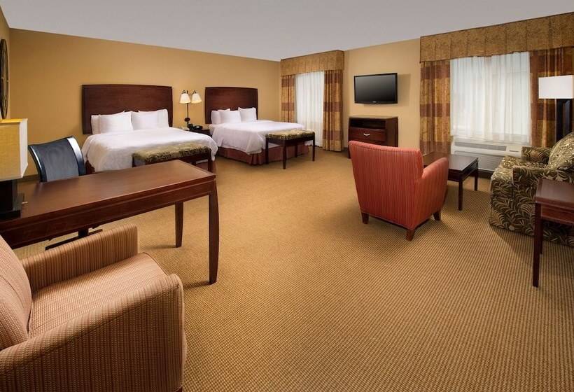 Studio Standard, Hampton Inn & Suites San Antonioairport