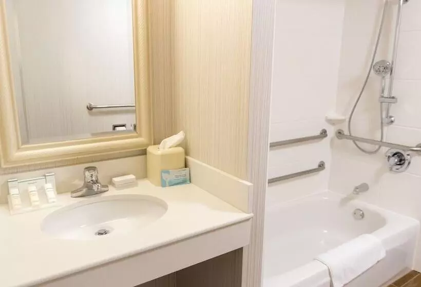 ２ダブルベッドのスタンダードルーム, Hilton Garden Inn Plymouth