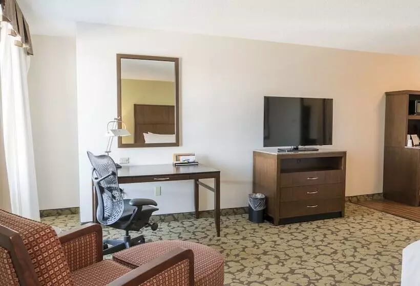 身障者適用スタンダードルーム, Hilton Garden Inn Plymouth
