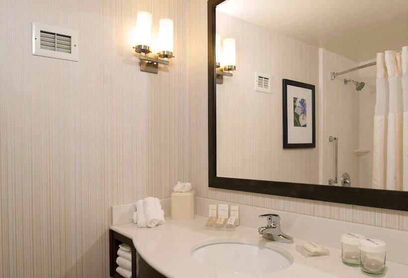 Номер Стандарт 2 Двуспальные Кровати, Hilton Garden Inn Plymouth