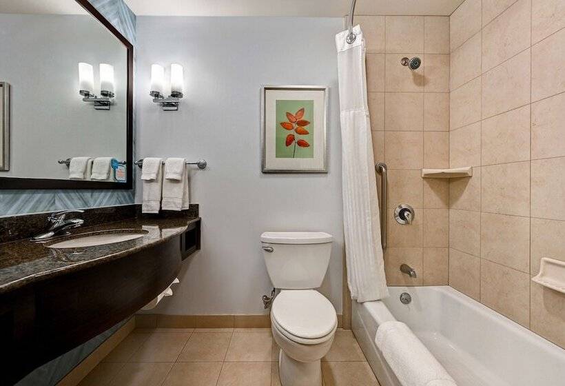 Номер Стандарт, Hilton Garden Inn San Bernardino
