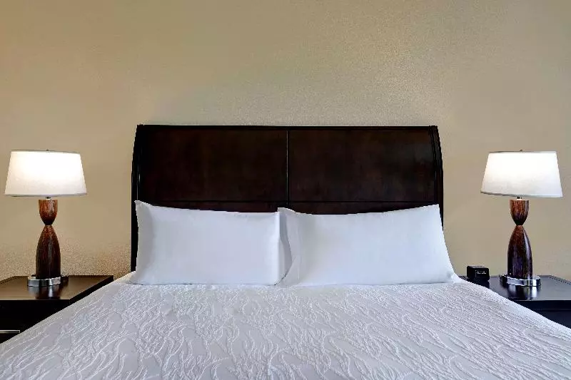Standard-huone King-vuode, Hilton Garden Inn San Bernardino