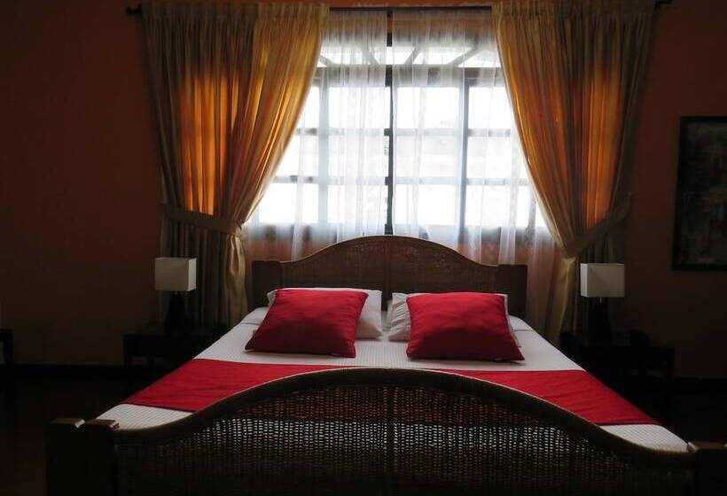 スタンダードシングルルーム, La Herreria Colonial