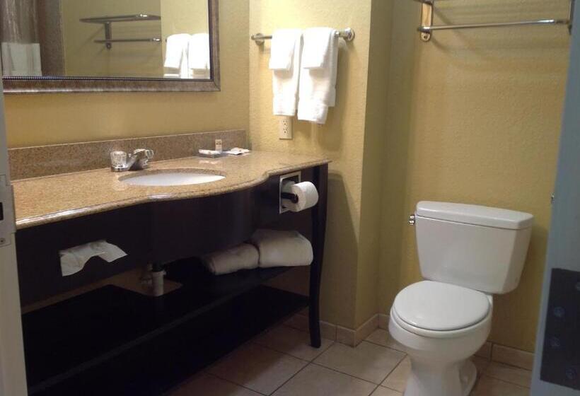 اتاق استاندارد با تخت بزرگ, La Quinta By Wyndham Vicksburg